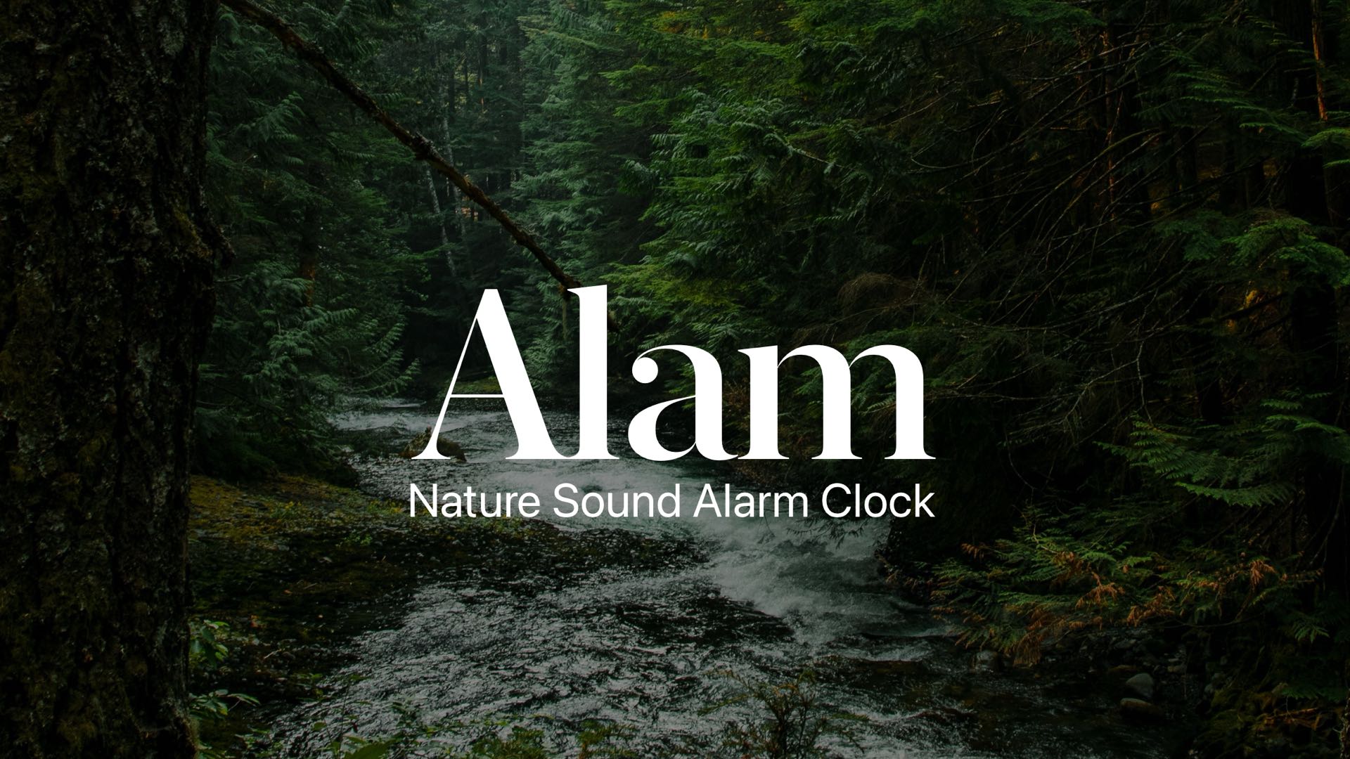 039 - Alam Pre-Order