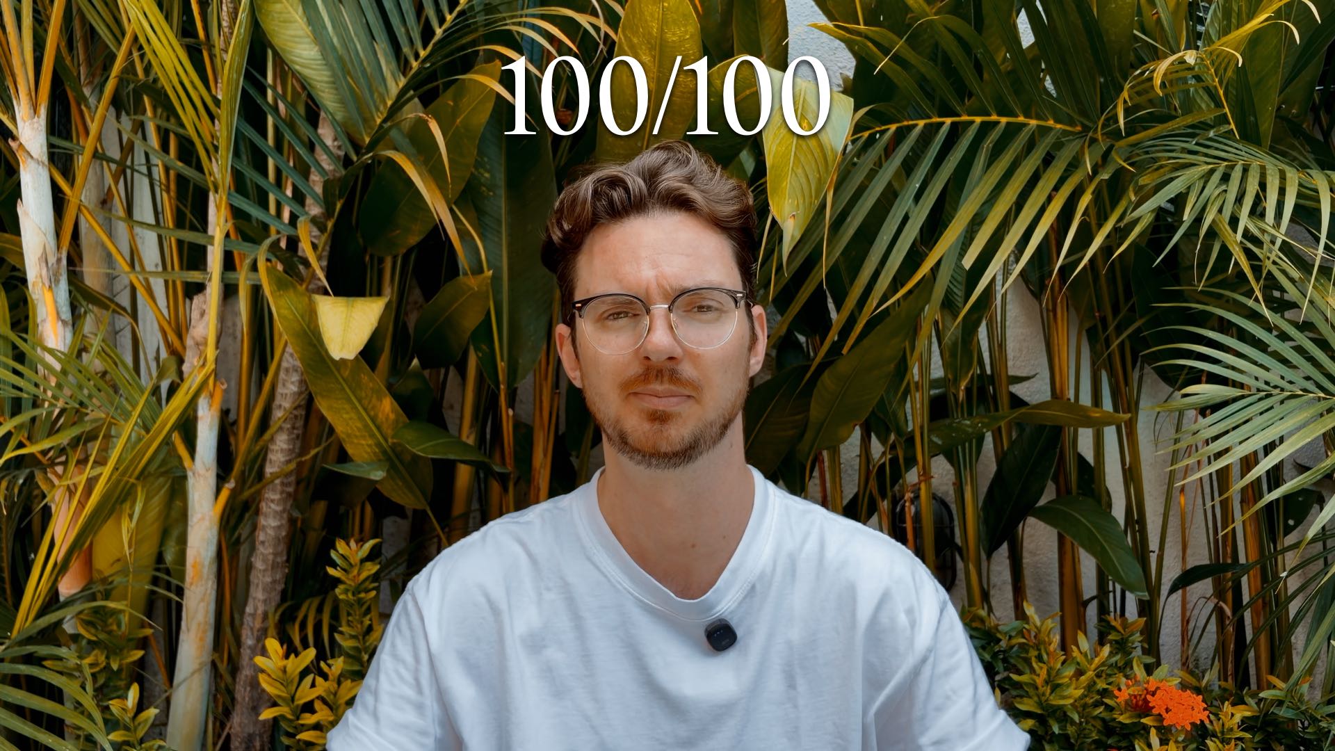100 - 100/100